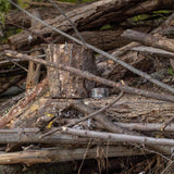 Duck 1.88 in. W X 10 yd L Multicolored Camouflage Duct Tape