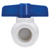 Homewerks 2 in. PVC FIP Ball Valve Full Port