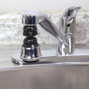 Ace Dual Thread 15/16 in.- 27M x 55/64 in.-27F Chrome Swivel Sprayrator