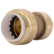 COUPLR 3/4"IPS X CTS SB