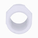 Charlotte Pipe Schedule 40 2 in. MPT X 1-1/2 in. D Slip PVC Pipe Adapter 1 pk