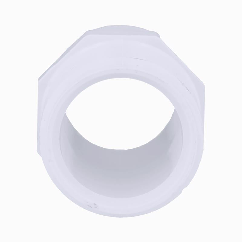 Charlotte Pipe Schedule 40 1-1/4 in. MPT X 1-1/2 in. D Slip PVC Pipe Adapter 1 pk
