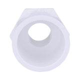 Charlotte Pipe Schedule 40 3/4 in. MPT X 1 in. D Slip PVC Pipe Adapter 1 pk