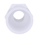 Charlotte Pipe Schedule 40 3/4 in. MPT X 1 in. D Slip PVC Pipe Adapter 1 pk