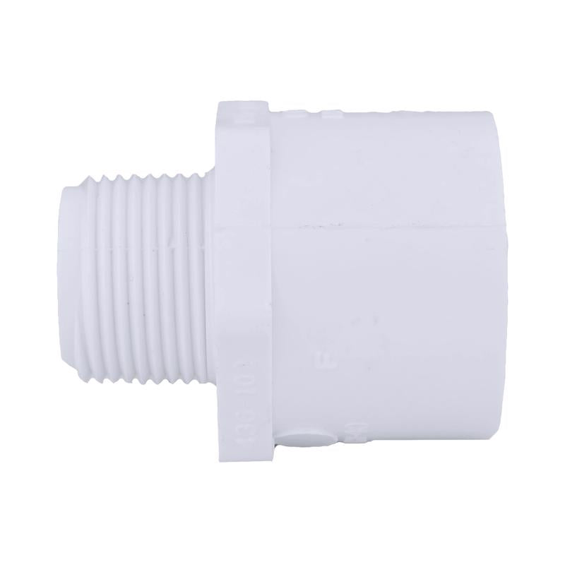 Charlotte Pipe Schedule 40 3/4 in. MPT X 1 in. D Slip PVC Pipe Adapter 1 pk