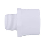 Charlotte Pipe Schedule 40 3/4 in. MPT X 1 in. D Slip PVC Pipe Adapter 1 pk