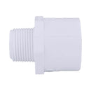 Charlotte Pipe Schedule 40 3/4 in. MPT X 1 in. D Slip PVC Pipe Adapter 1 pk