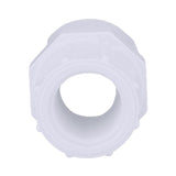 Charlotte Pipe Schedule 40 3/4 in. Slip X 1/2 in. D FPT PVC Pipe Adapter 1 pk