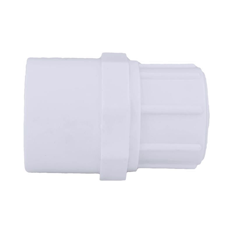 Charlotte Pipe Schedule 40 3/4 in. Slip X 1/2 in. D FPT PVC Pipe Adapter 1 pk