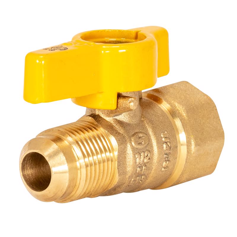 Eastman Magne Flo 1/2 in. Flare X 1/2 in. FIP Brass Gas Valve