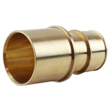 Apollo Expansion PEX / Pex A 1 in. Expansion PEX in to X 1 in. D CTS Brass Female Adapter