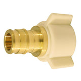 Apollo Expansion PEX / Pex A 1/2 in. Expansion PEX in to X 1/2 in. D FPT Brass Female Adapter