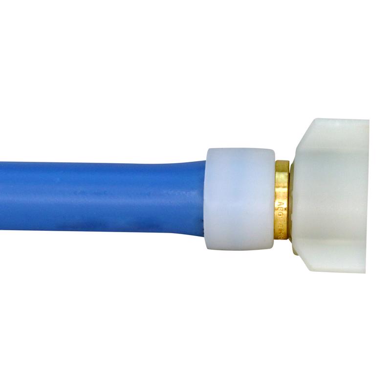 Apollo Expansion PEX / Pex A 1/2 in. Expansion PEX in to X 1/2 in. D FPT Brass Female Adapter