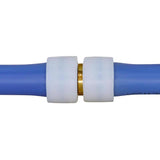 Apollo Expansion PEX / Pex A 1 in. Expansion PEX in to X 1 in. D PEX Brass Coupling