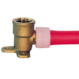 Apollo Expansion PEX / Pex A 1/2 in. Expansion PEX in to X 1/2 in. D FPT Brass Drop Ear Elbow
