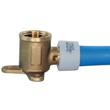 Apollo Expansion PEX / Pex A 1/2 in. Expansion PEX in to X 1/2 in. D FPT Brass Drop Ear Elbow