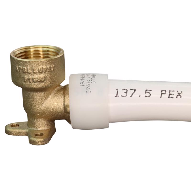 Apollo Expansion PEX / Pex A 3/4 in. Expansion PEX in to X 3/4 in. D FPT Brass Drop Ear Elbow