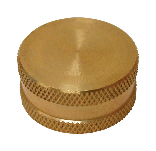 HOSE CAP W/WASHER 3/4"