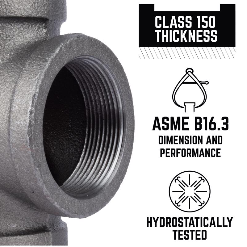 STZ Industries 3 in. FIP each Black Malleable Iron Cap