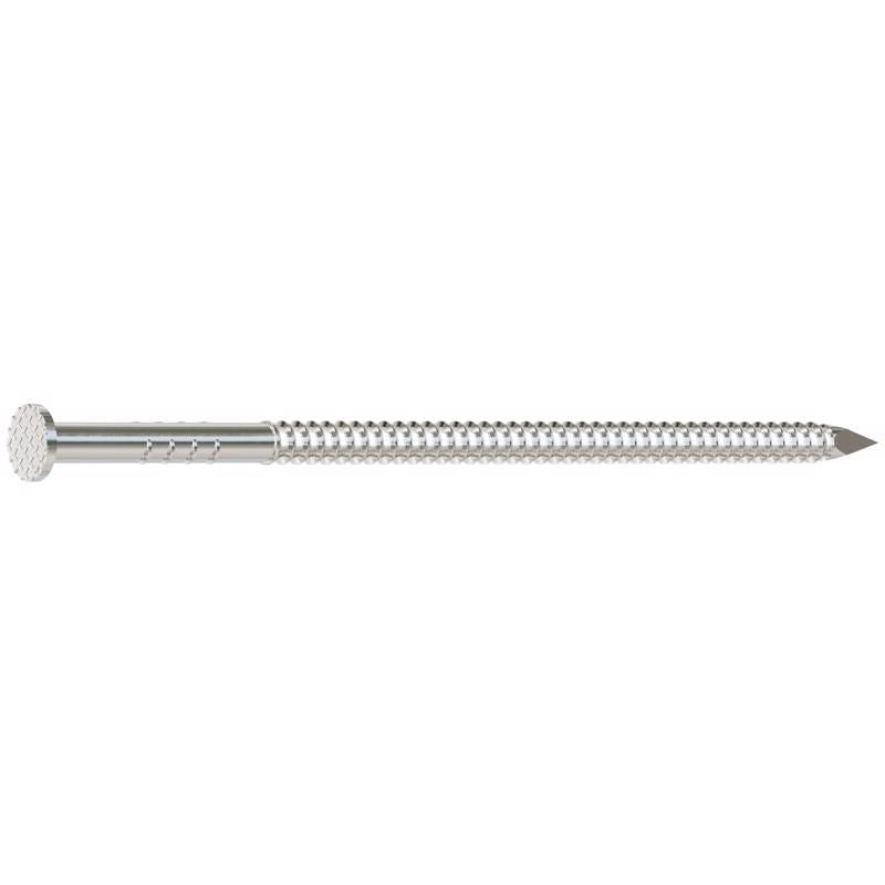 NAIL SIDING SS 10D 5LB