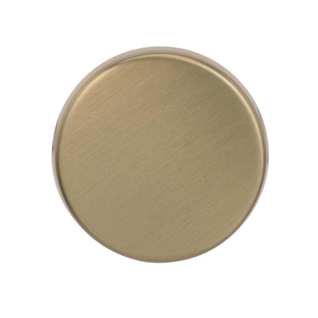 Amerock Blackrock Collection Oblong Cabinet Knob 1-5/8 in. D 1-5/16 in. 1 pk