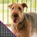 Saint-Gobain ADFORS Pet Resistant 36 in. W X 7 ft. L Charcoal Polyester Pet Screen Cloth