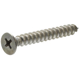 SCREW SM PHL6FH5/8"SS100