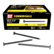 NAIL STL 8DX2-1/2" 1#