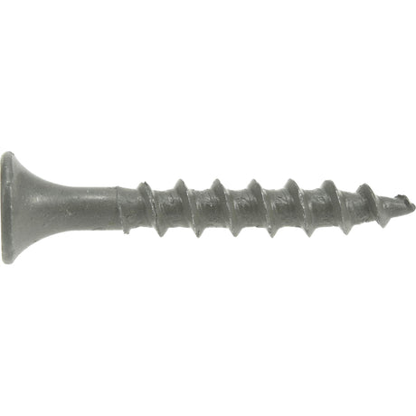 Ace No. 8 X 1-1/4 in. L Phillips Wood Screws 5 lb