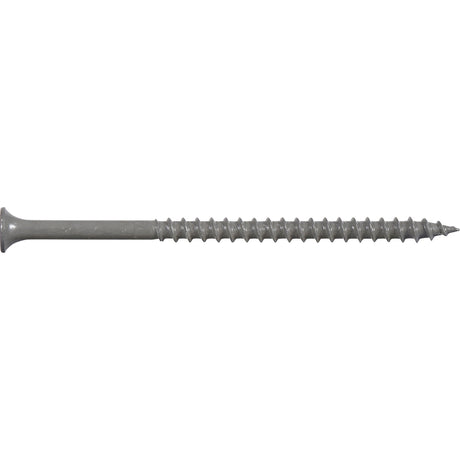 Ace No. 10 X 3-1/2 in. L Phillips Wood Screws 5 lb