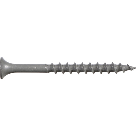 Ace No. 8 X 2 in. L Phillips Wood Screws 5 lb