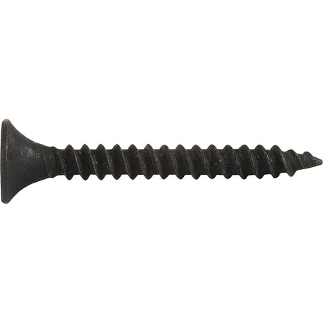 HILLMAN No. 6 in. X 1-1/4 in. L Phillips Drywall Screws 5 lb 1226 pk