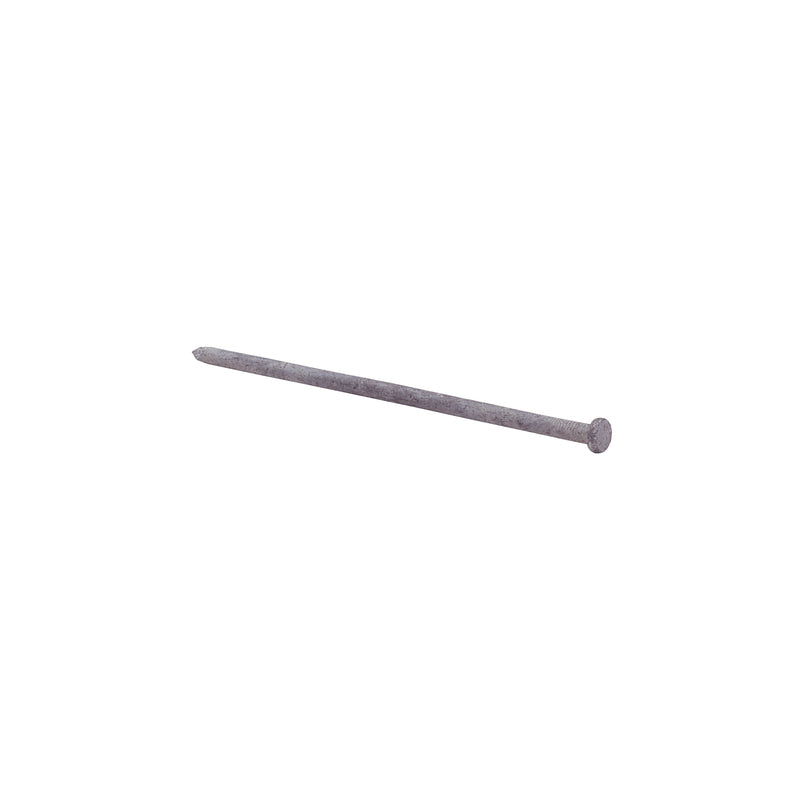 Grip-Rite 10 in. Spike Hot-Dipped Galvanized Steel Nail Flat Head 5 lb