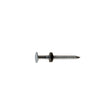 ROOF NAIL GLV 1.75" 1#