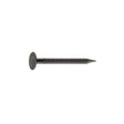 NAIL DRYWL 1.625" 1#