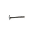 ROOF NAIL EG 2" 30#
