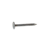 ROOF NAIL EG 2" 30#