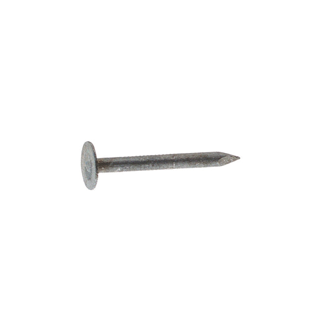 ROOF NAIL EG 2" 30#