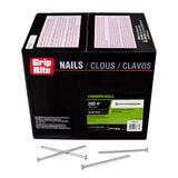 NAIL CMN HDG 20DX4" 50#