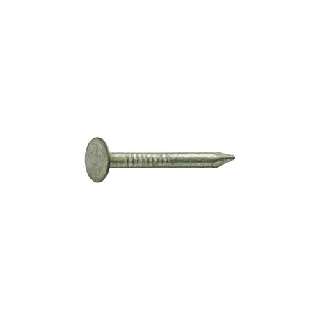 NAIL RFG HDG 2.5" 1#