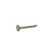 NAIL RFG SMTH STL 2" 1#