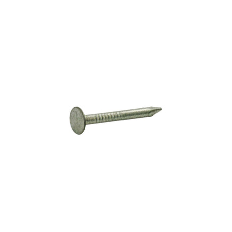 NAIL RFG SMTH STL 2" 1#