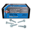 SCREW HEX WSHR 12X1" 1#