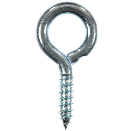 SCREW EYE.299X2-7/8 CD2