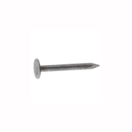 NAIL ELE-GAL RND 1-1/2"L