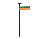 LAG SCREW 1/4"X6" HCR