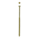 SPAX PowerTrim No. 8 in. X 3-1/8 in. L Star Round Head Trim Screws 100 pk