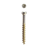 SPAX PowerTrim No. 8 in. X 1-1/2 in. L Star Round Head Trim Screws 100 pk