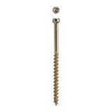 SPAX PowerTrim No. 8 in. X 2-1/2 in. L Star Round Head Trim Screws 100 pk