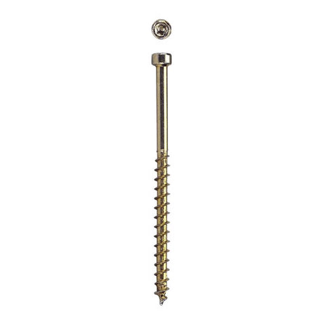 SPAX PowerTrim No. 8 in. X 2-1/2 in. L Star Round Head Trim Screws 100 pk